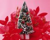 1600XMAS_5013.jpg