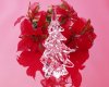 1600XMAS_5014.jpg