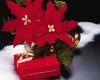 1600XMAS_7005.jpg