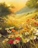 70219sunsettk2.jpg