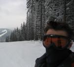 MefiSs
